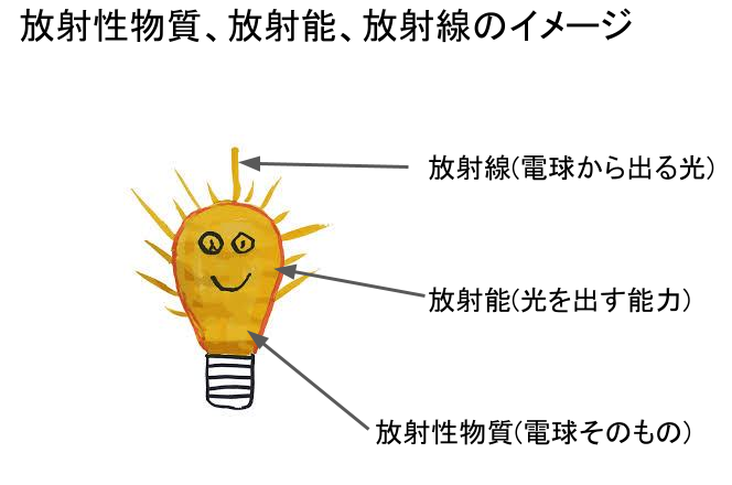 放射線イメージ