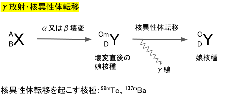 γ放射