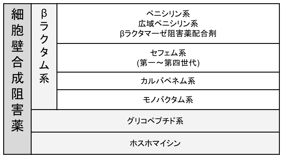 細胞壁合成阻害薬の分類