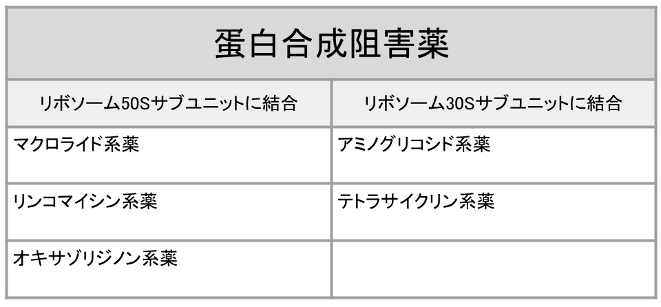 蛋白合成阻害薬分類