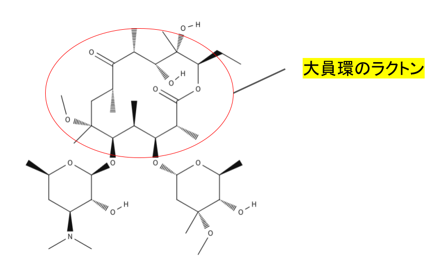 マクロライド系構造