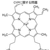 シトクロムP450に関する問題